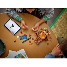 LEGO STAR WARS 75430 Evokų vartelis LEGO STAR WARS 75430 Evokų vartelis