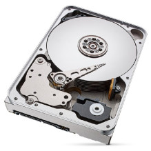 „Seagate IronWolf Pro“ vidinis kietasis diskas, 12 TB, 256 MB, 3,5 colio, „Serial ATA III“ (ST12000NT001)