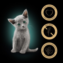 Wet Cat Food - Sheba Kitten Flavor Selection With Sauce