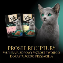 Wet Cat Food - Sheba Kitten Flavor Selection With Sauce