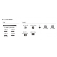 „Philips 55OLED770“ / 12