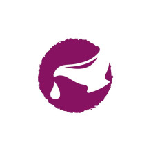 JOSERA Mini Salmon &amp; Chicken - dry dog food - 900g