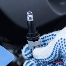 LED bulb STANDARD Clear White T10 W5W 12V white 100 pcs AMIO-02955