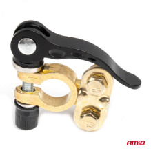 Universalūs žalvariniai akumuliatoriaus gnybtai su tvirtinimo raktu AMIO-04059