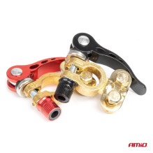 Universal brass battery terminals with mounting key AMIO-04059