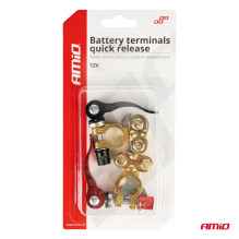 Universal brass battery terminals with mounting key AMIO-04059