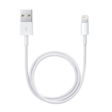 Laidas - Apple Lightning į USB 0.5m ME291ZM / A USB 2.0 480 Mbit / s