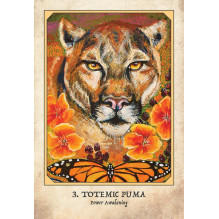 Blue Angel Earth Warriors Oracle Cards