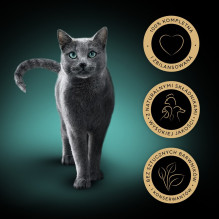 Wet Cat Food - SHEBA Delicacy, 40x85 g