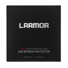 GGS Larmor LCD screen for...