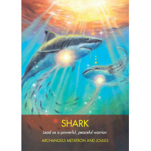 Hay House Archangel Animal Oracle Kortos