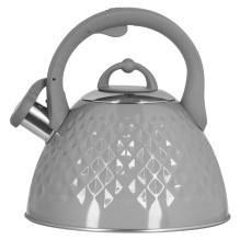 Elektrinis Virdulys - TMC14G PROMIS, 3L, Nuimamas Dangtelis, Pūslė, Nerūdijantis Plienas, Pilkas Blizgus