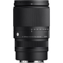 Sigma 16-300mm F3.5-6.7 DC OS , Contemporary , Sony E