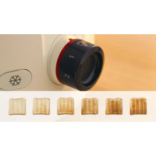 Skrudintuvas - Bosch TAT2M127