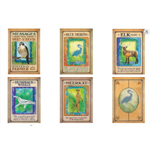 Hay House Messages From Your Animal Spirit Guides Oracle Cards