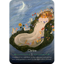 Tarot Card Set - Witches Seasons Lammas Oracle 44 Cards 14x10x3 cm