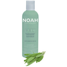 YAL Hydrating And Restorative Treatment Shampoo Moisturizing shampoo with hyaluronic acid and sage, 250ml