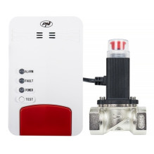 PNI Safe House Dual Gas 250 kit with sensors for 2 types of carbon monoxide (CO) and natural gas