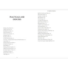 Wild Magic Knyga Llewellyn