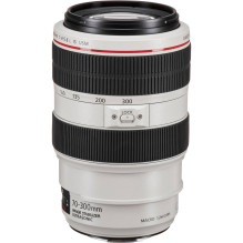 Canon EF 70-300mm f/ 4-5.6L IS USM - In a white box (white box)