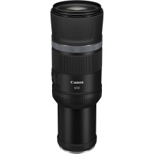 Canon EOS R8 + RF 600mm f / 11 IS STM