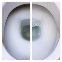 Cleaning Product - Frischer Toilet Cleaner 1L