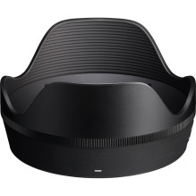 Sigma 17-40mm F1.8 DC , Art , Sony E