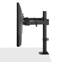 Monitor Mount - LINDY Dual Adjustable Monitor Mount 13-32', Black