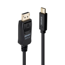 Adapteris - 3m USB Type C į DisplayPort 4K60 HDR
