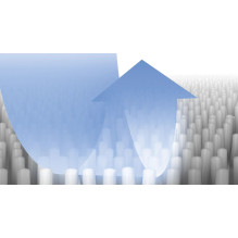 Vacuum Cleaner Accessory - Bosch BBZWDSET Cleaning Solutions Set