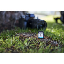 Memory Card - Kingston Technology Canvas Go! Plus 1TB SDXC 200MB/s UHS-I U3 V30