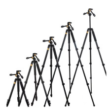 Stand - MITOYA MTY620 62-183cm 8kg Load 3D Head Quick Release Plate