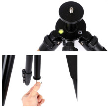 Stand - MITOYA MTY620 62-183cm 8kg Load 3D Head Quick Release Plate