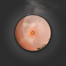 Stadler Form Zoe Z-002