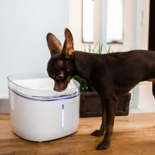 Petoneer Fresco Ultra PN-110002-03 smart water bowl