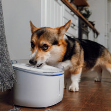 Petoneer Fresco Ultra PN-110002-03 smart water bowl