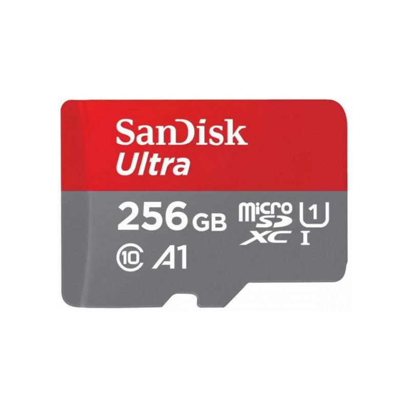Sandisk Micro SDXC 256GB Class 10 UHS-I SDSQUAC-256G-GN6MA