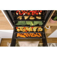 Gorenje BSA6747A04BG