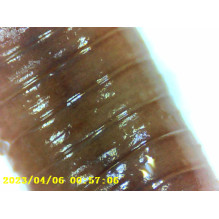 Denverio MSC-255 Denverio MSC-255