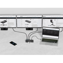 Sandberg 136-61 USB-C 13in1 DockingStation Pro