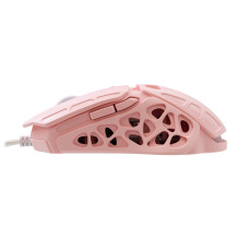 Baltasis ryklys GM-5016 Ector Pink