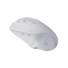 Sbox WM-308 White Sbox WM-308 White