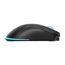 Baracuda BGM-121 Turtle Black