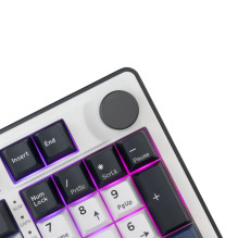 White Shark GK-007251 Excalibur White US