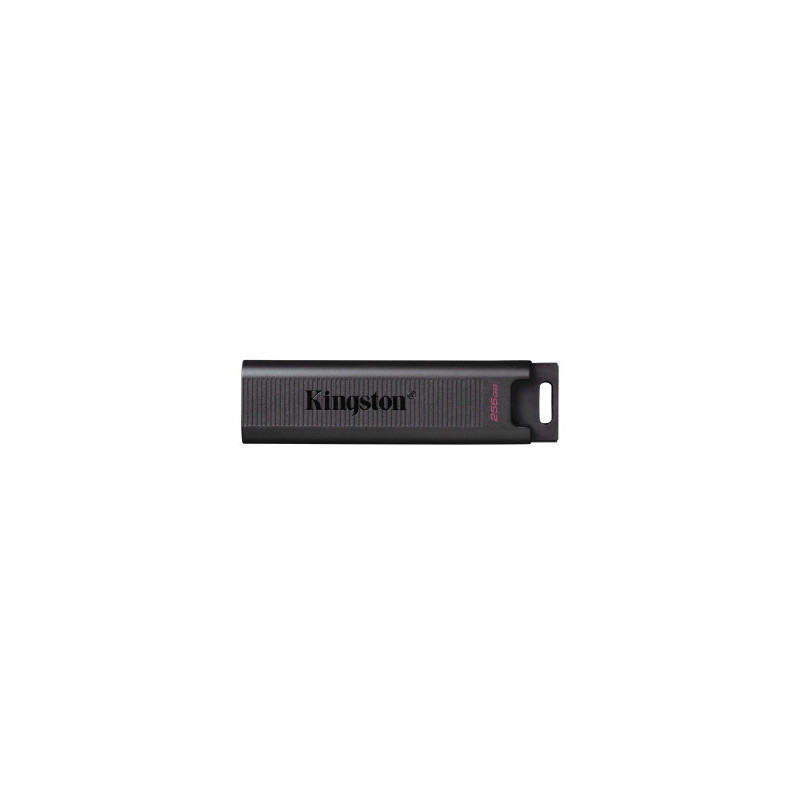 Kingston DataTraveler Max 256GB Black