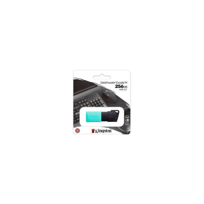 „Kingston DataTraveler Exodia M“ 256 GB atmintis