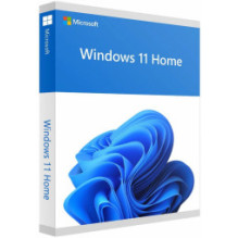 Microsoft Windows 11 Home ENG Intl USB FPP Retail