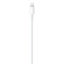 „Apple“ USB-C–Lightning laidas, 1 m „Apple“ USB-C–Lightning laidas, 1 m