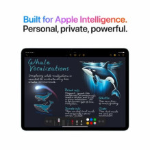 Apple iPad Air 13' M3 Wi-Fi 128GB kosminės pilkos spalvos MCNH4HC / A