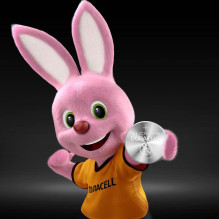 Duracell Specialized Lithium CR2016N batteries, 2 pcs